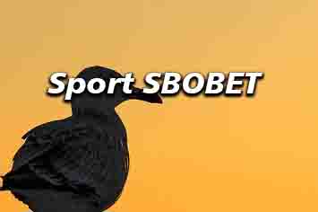 Sport SBOBET adalah taruhan online mudah menang